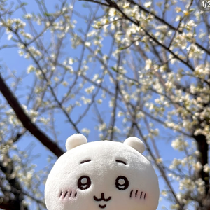 你的眼神是一场盛大的废墟