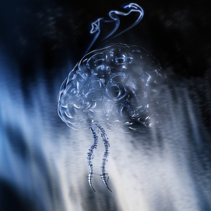 Life Is Like A Movie