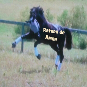 Ratero de Amor