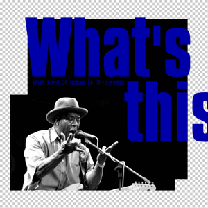 Buddy Guy-what's this（Songson remix）