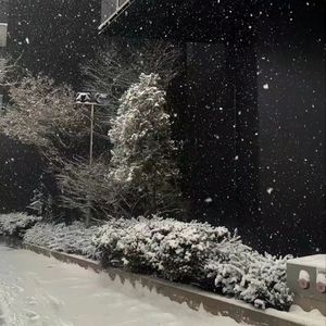 FREE " 雪 “ POST MALONE X KENROBB TYPE BEAT