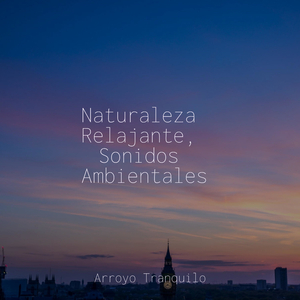 Renacimiento Estacional