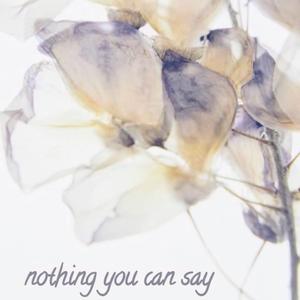 Nothing You Can Say