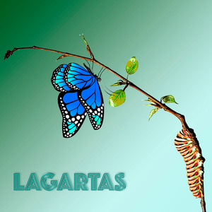 Lagartas