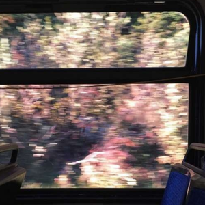 风的聚散ꦿ ͜͜Ꮺ