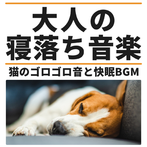 ワンちゃんの安らぎ音楽