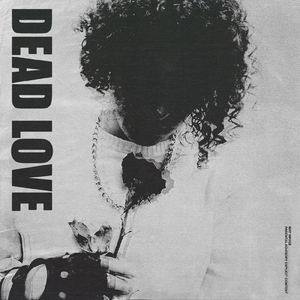 Новая Любовь