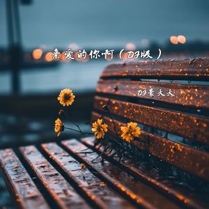 亲爱的你啊(DJ版)