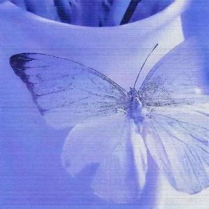 妳の愛讓我遍體&鱗傷(prod by RoyalBoyBrazy)