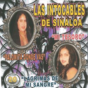 Diferencias Sociales