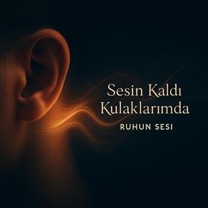 Sesin Kaldi Kulaklarimda