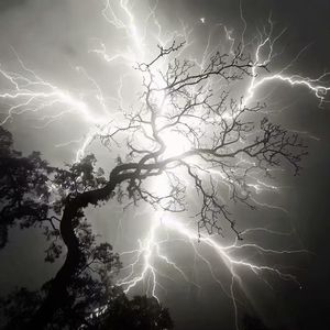 碎星溺入眼底星河