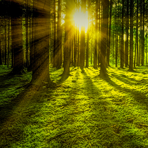 安静的旋律 (经典钢琴曲)