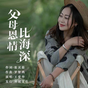 父母恩情比海深 (DJ彭锐版)