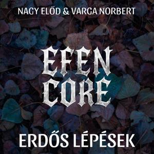 Erdős Lépések