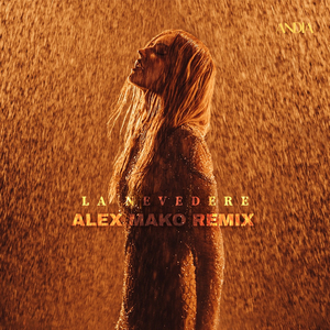 La nevedere (Alex Mako Remix)