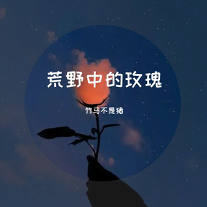 荒野中的玫瑰花