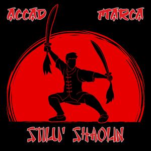 Stilu' Shaolin (feat. Marca)