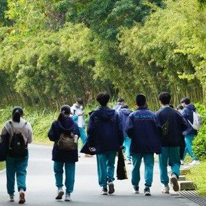 写给我的一个朋友