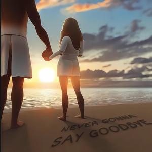 NEVER GONNA SAY GOODBYE
