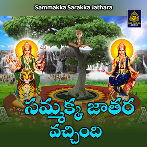 Sammakka jatara vacchindi