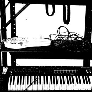 the snake plant is venemous