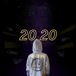 20 20