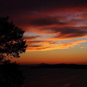 高雅先生（翻）