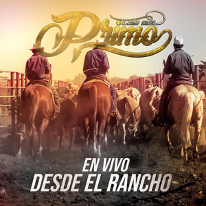 Tú (En Vivo)