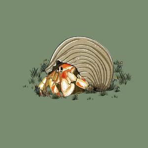 random man in greenville