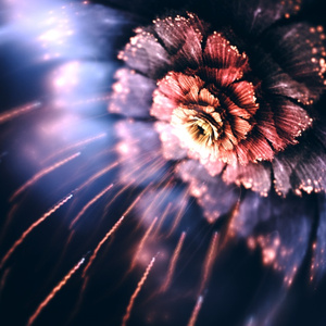 Don't Cut the Bamboo, & Don't Listen to a Word I say, Baby