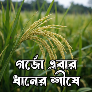 মুক্তির মিছিলে ধানের শীষ