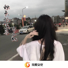 秋天的飞鸟 (DJ版)