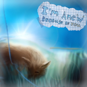 Sacred Place, Reach Me Here