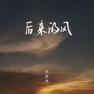 后来的风