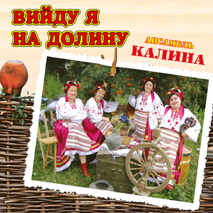 Вийду я на долину