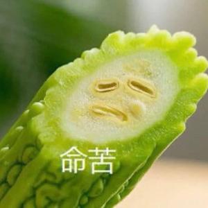 初夏