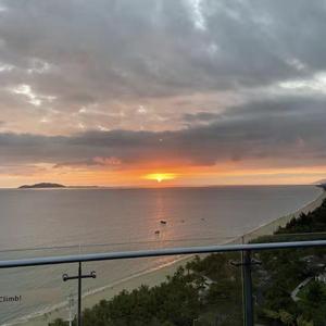 她不是(翻自BigYear大年)