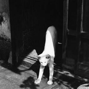 我们总是在寻找（翻唱）