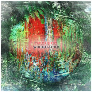 White Feather