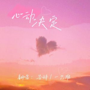 心动决定