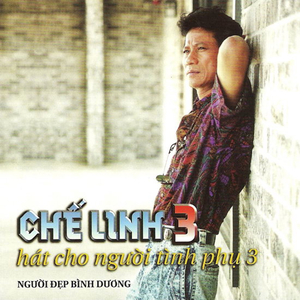 Đêm Nay Ai Đưa Em Về