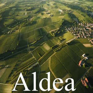 Aldea