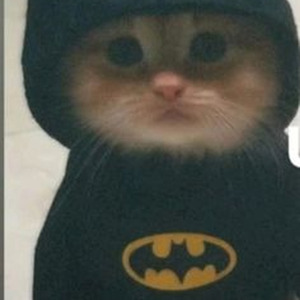 Harder, Better, Faster, Stronger