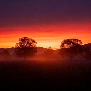 暮色回响 (Cover 吉星出租)