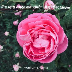 बीरा म्हारा रामदेव बाबा रामदेव जी सुपरहिट Bhajan