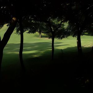 电梯战神(cover宝石gem）