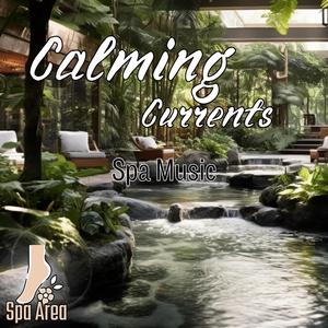 Spa Music Relaxation