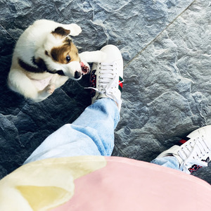 Từng Cho Nhau (Remix)