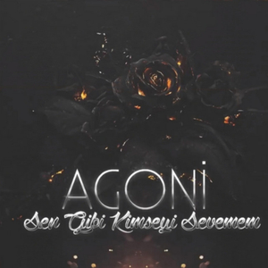 Sen Gibi Kimseyi Sevemem